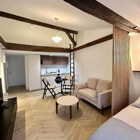 - Marais Apartment